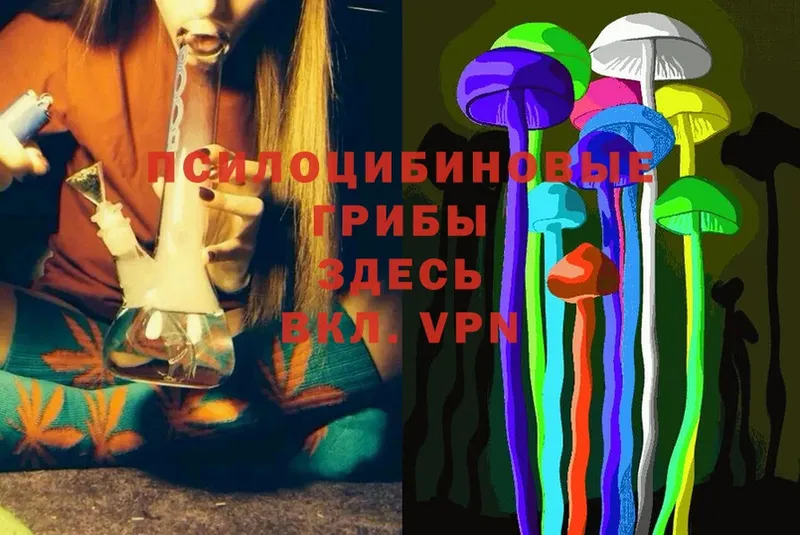 как найти закладки  Елизаветинская  Галлюциногенные грибы MAGIC MUSHROOMS 